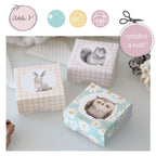 Dárkové krabičky s veverkou, zajíčkem a sovičkou v jemných pastelových barvách.