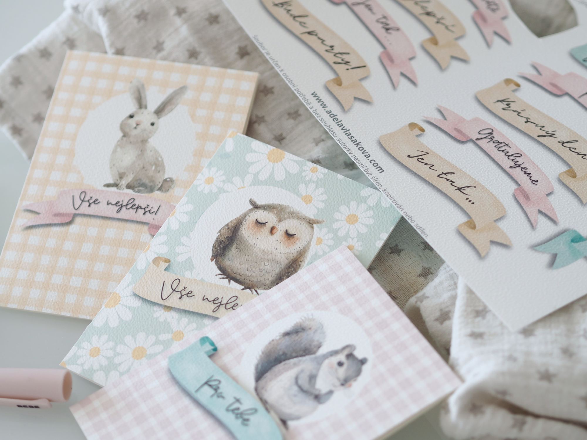 Holčičí set na oslavu – sladěné přání a obálky Lesní přátelé.