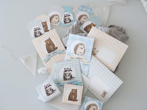 Kompletní PDF sada k tisku v klučičím designu s medvídkem, mývalem a ježkem.